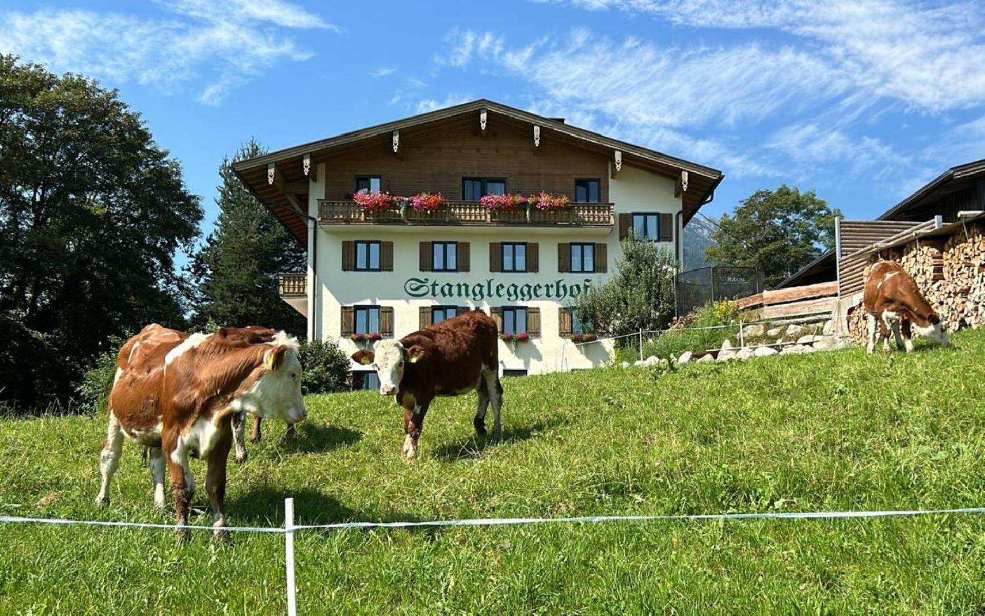 Stangleggerhof Villa Визинг Екстериор снимка